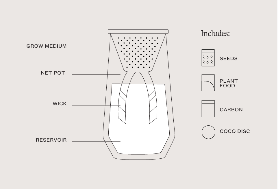 Tapered Tumbler Mint