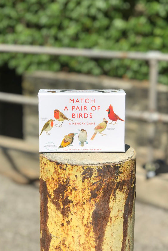 Match a Pair of Birds Memory Game