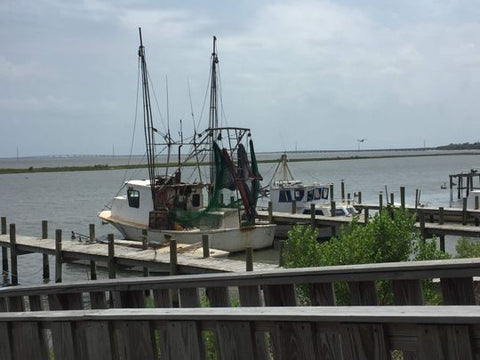 The view from the back of Eastpoint Beer Company faces the picturesque Gulf of Mexico and the bustling oyster farming scene in Eastpoint, which is famously known as the "Oyster Capital of the World." (Photo: Josh Parker)