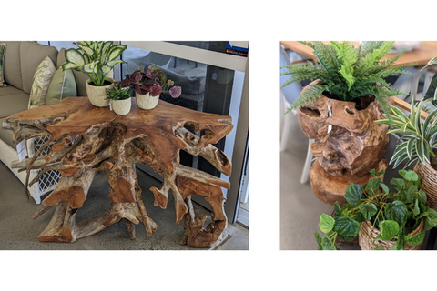 teak root pieces by east india at lume outdoor living