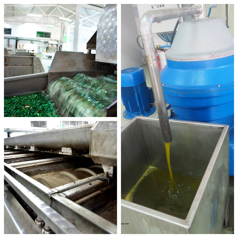 Olivenölherstellung Schritte