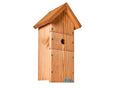 Wifi Bird Box HD Camera Starter Pack