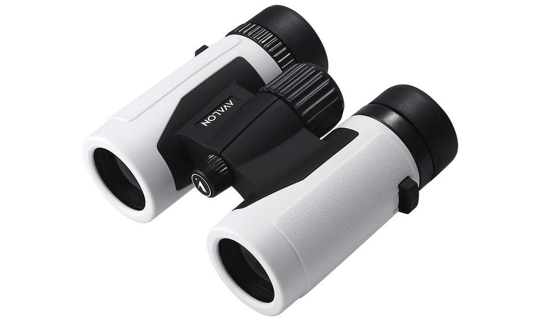 Best binoculars 2021: For birdwatching, nature spotting or general  exploring | T3