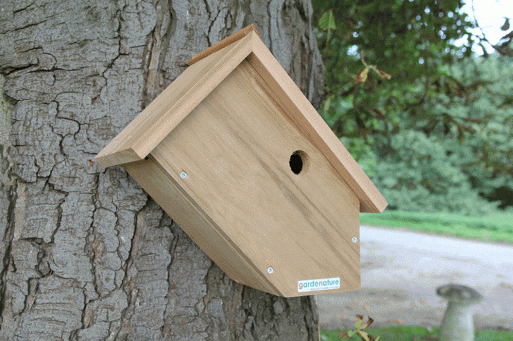 camera ready nest box