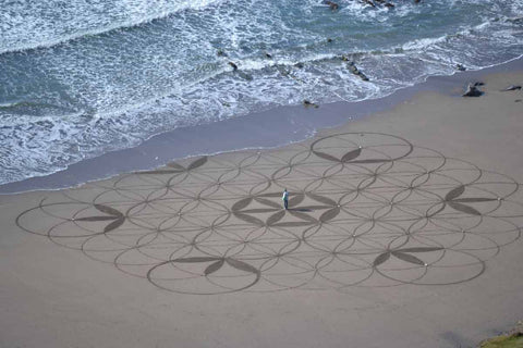 Beach Art: copyright William Bartlett