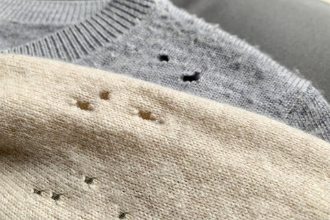 Cashmere Jumpers Eaten by Clothes Moth. Holes seen