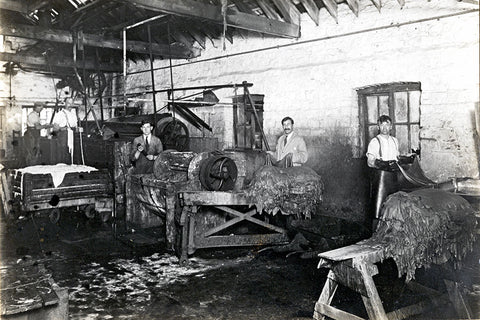 Working Tannery Wet Shop