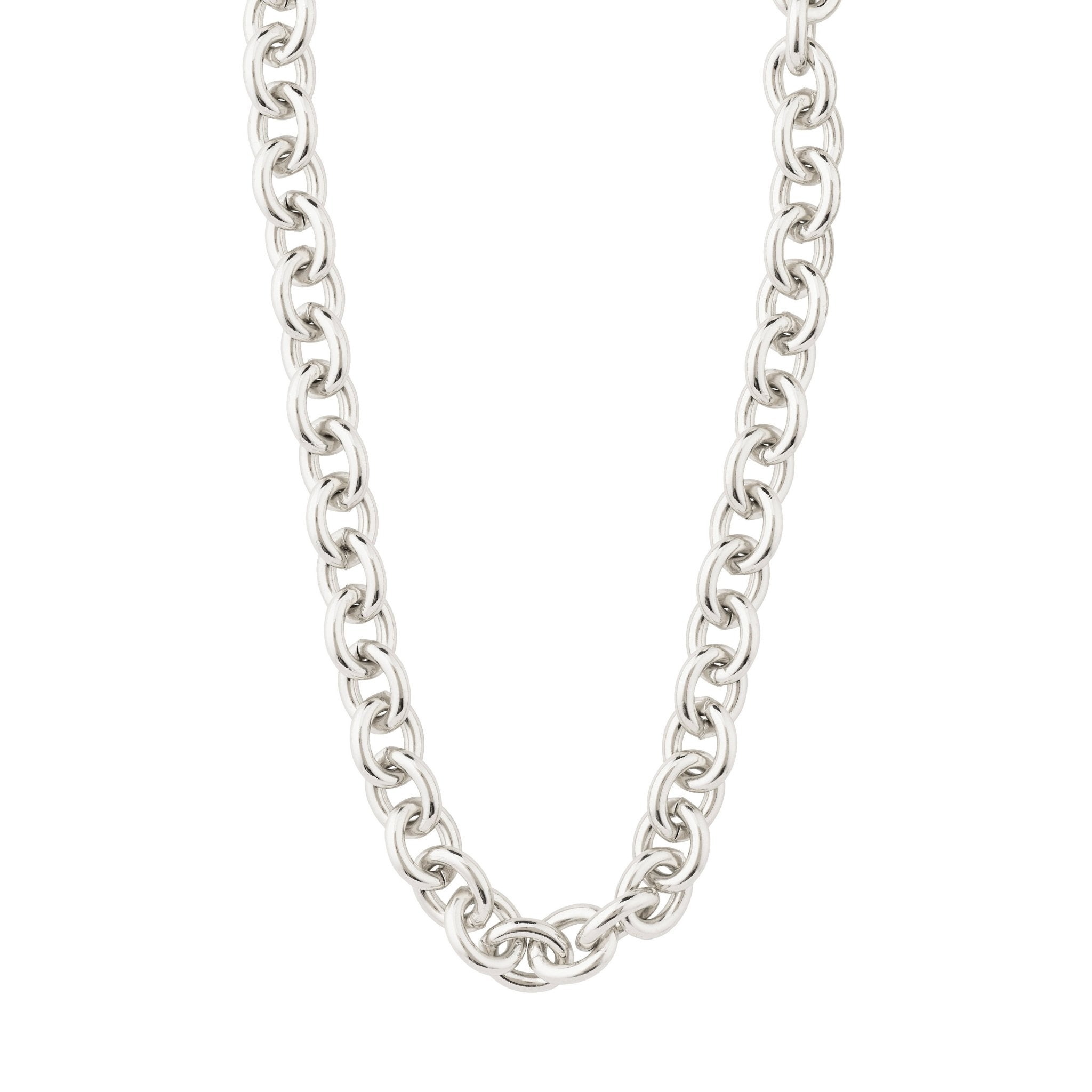 FRIENDS Chunky Curb Chain Necklace – PILGRIM