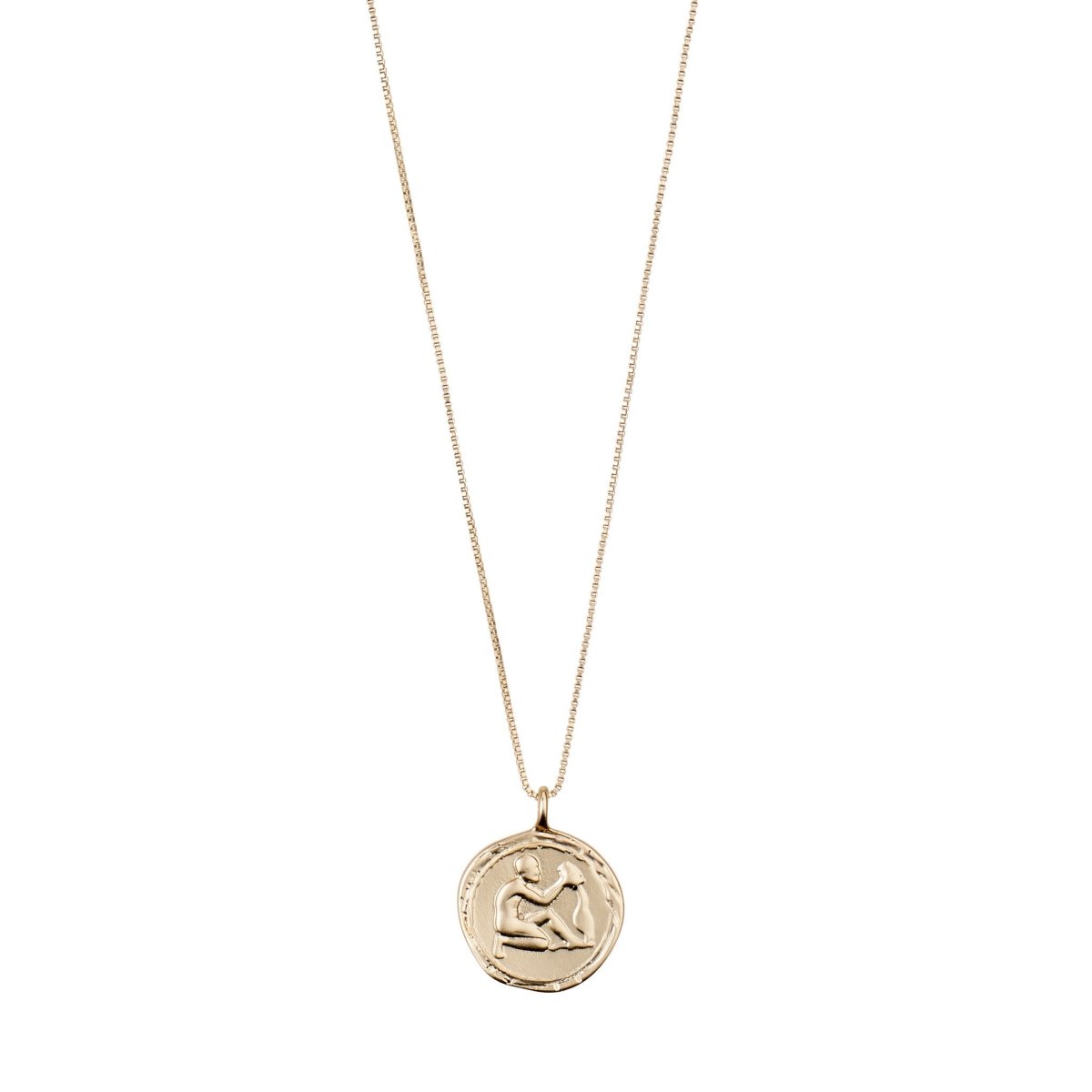 Horoscope Necklace Aquarius