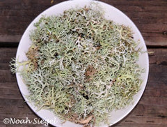 Evernia Prunastri collection