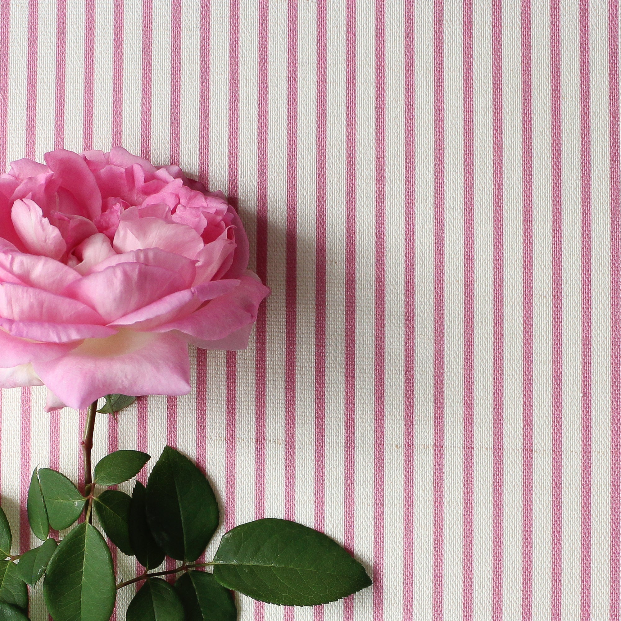 Ticking Stripe Fabric - Tickled Pink – Hydrangea Lane Home