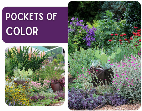 Pockets of Color