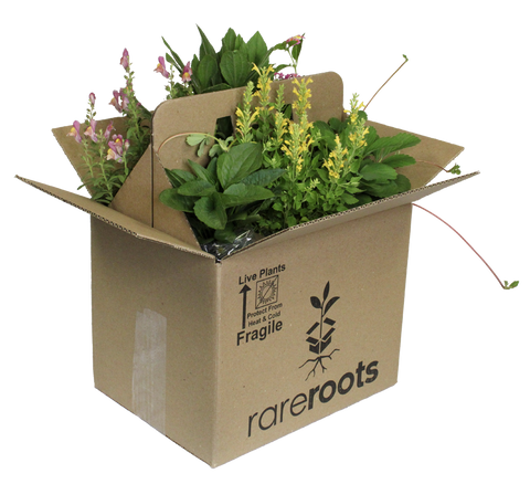 plants shipped to your door