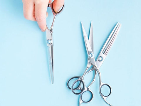 A Cut Above the Rest: Best Scissors Guide