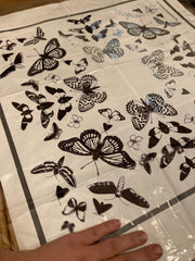Plastic overlay to transfer cyanotype butterfly design 