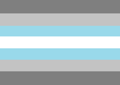 demiboy pride flag