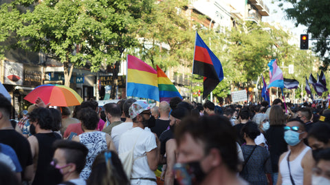 image by  Mary Saxaroz on unsplash, pride parade with flags