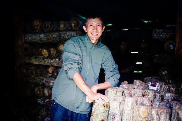 Bhutan mushroom | Kinley dhendup | Druksell