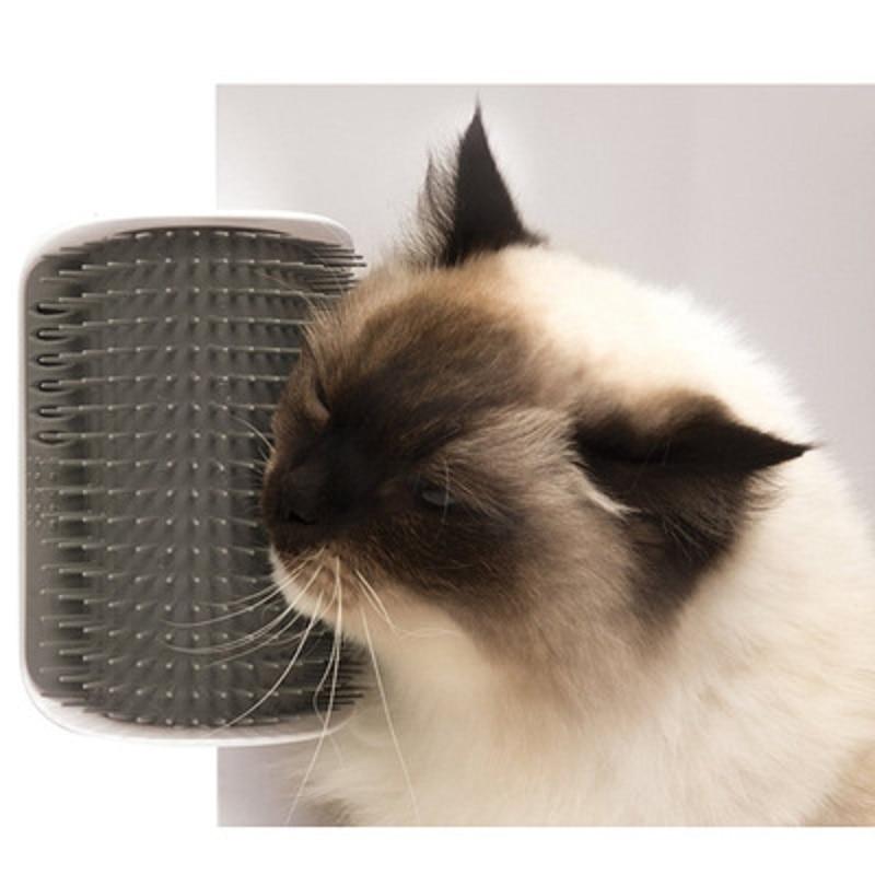 cat comb