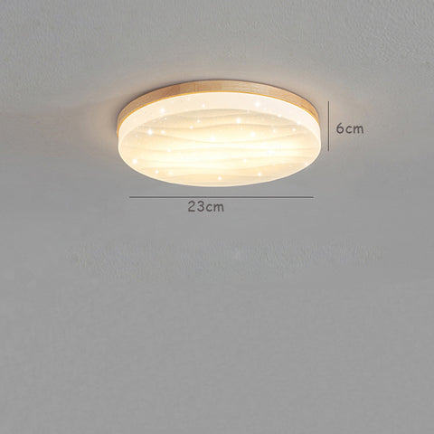 Nordic Living Room Lamp Modern Minimalist Ceiling Lamp Solid