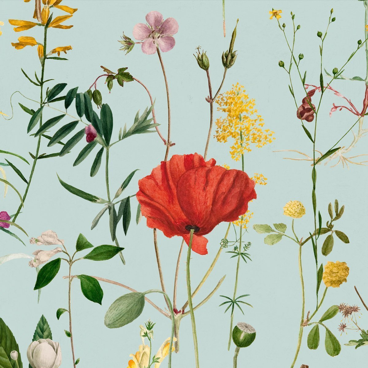 This Month We Re Loving A Curated Edit Of Our Favourite Wallpapers Joyfulwallpapercompany Com