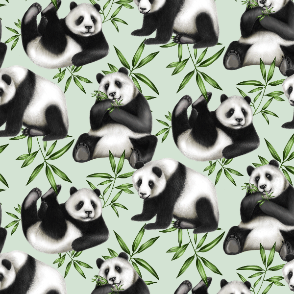 Giant Panda  Wallpaper  by Charlotte Jade 