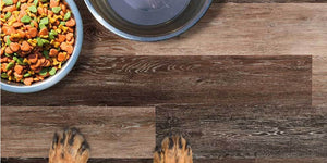 Greenflooringsupply Com Wholesale Pricing On Healthy Flooring