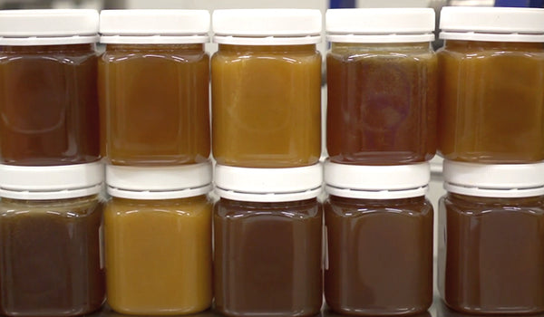 How Manuka Honey Differs From Regular Honey