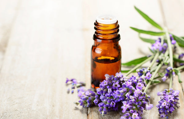 Lavender