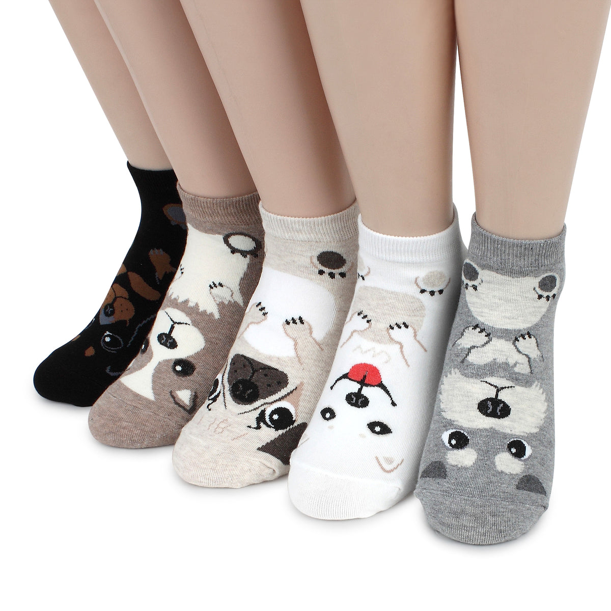 (5 pairs) Women's Puppy Face Socks WH15 – intypesocks