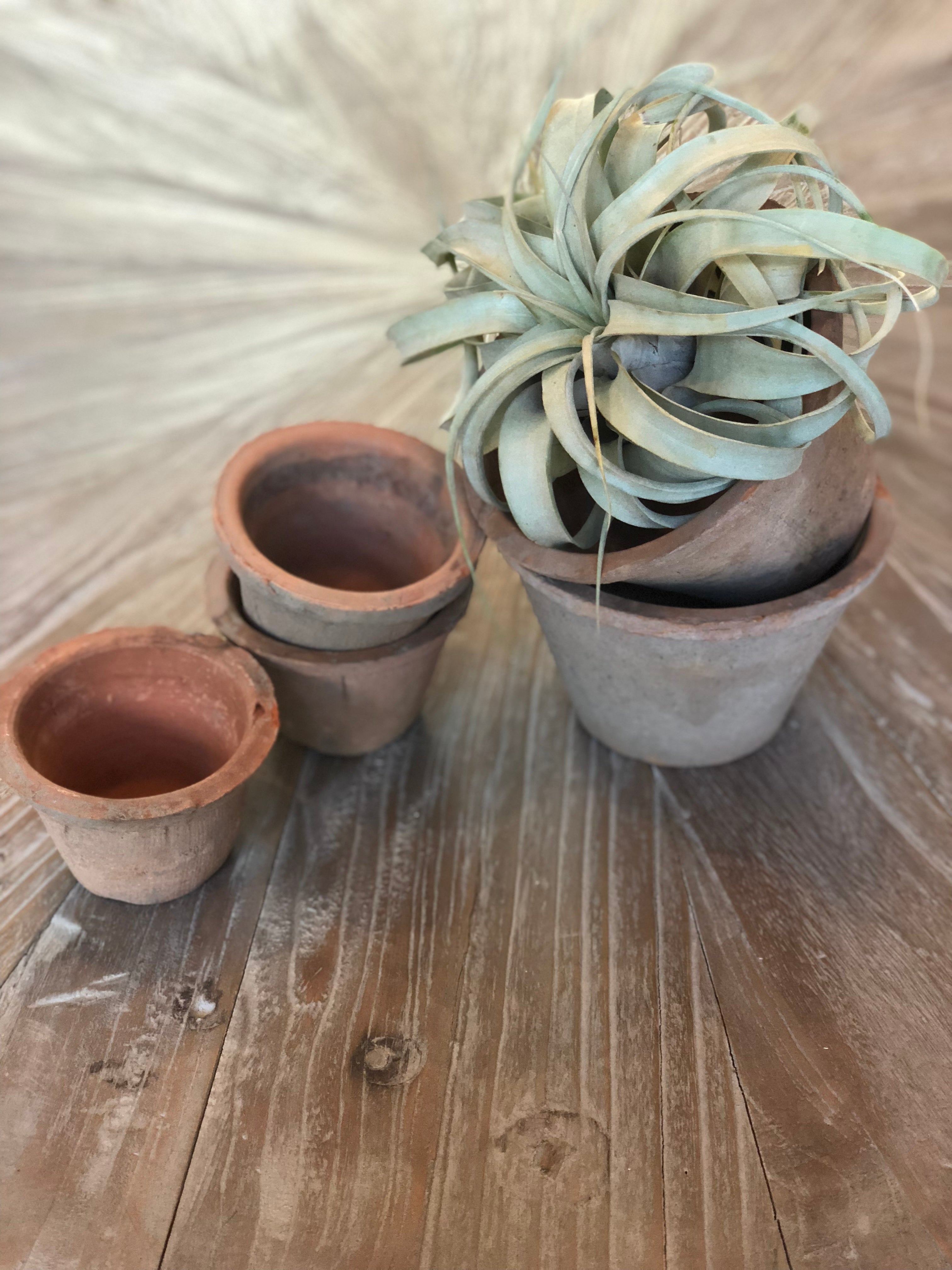 aged terra cotta pots--large