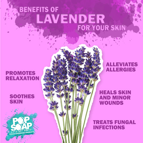 Lavender Essential Oil Pop Soap Vegan Handmade Soap