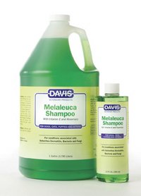 davis melaleuca shampoo