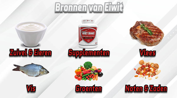 Bronnen van eiwit