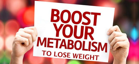 metabolism image