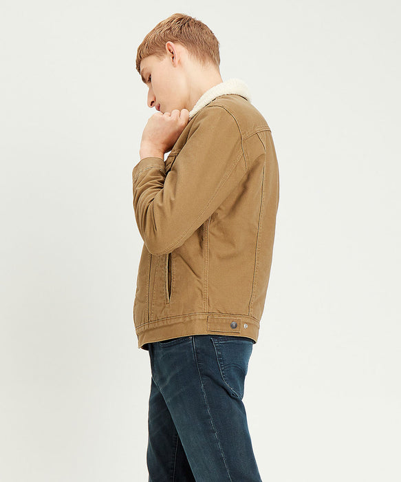 Levi's Men's Sherpa Trucker Jacket - Cougar Canvas — Dave's New York