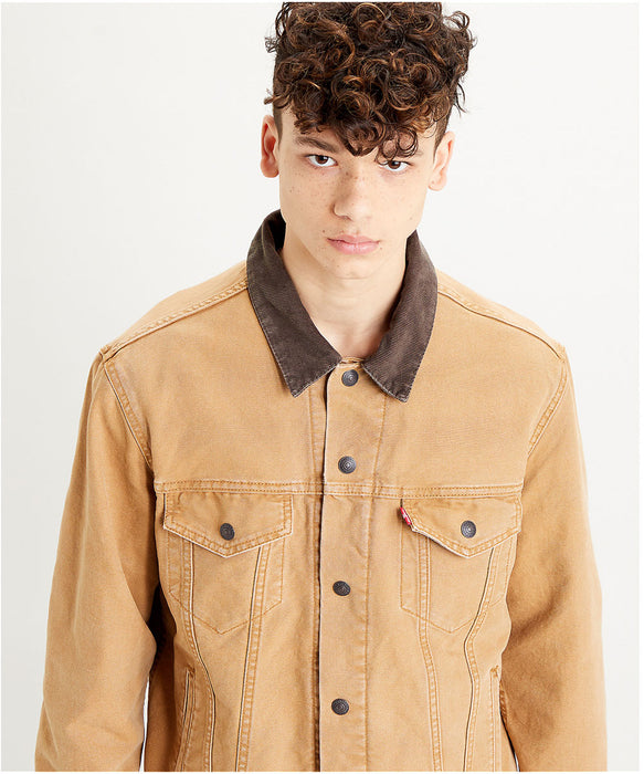 lined levis trucker jacket