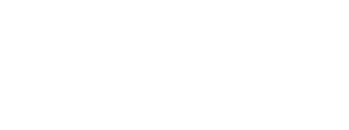 Cerezalingerie store logo