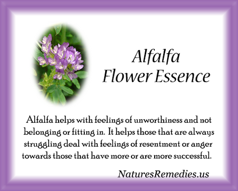 Alfalfa Flower Essence - Nature's Remedies