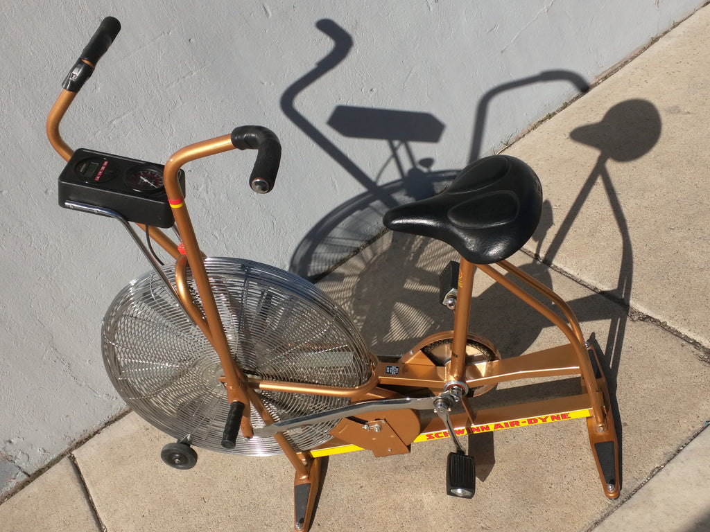 schwinn airdyne ad3 console