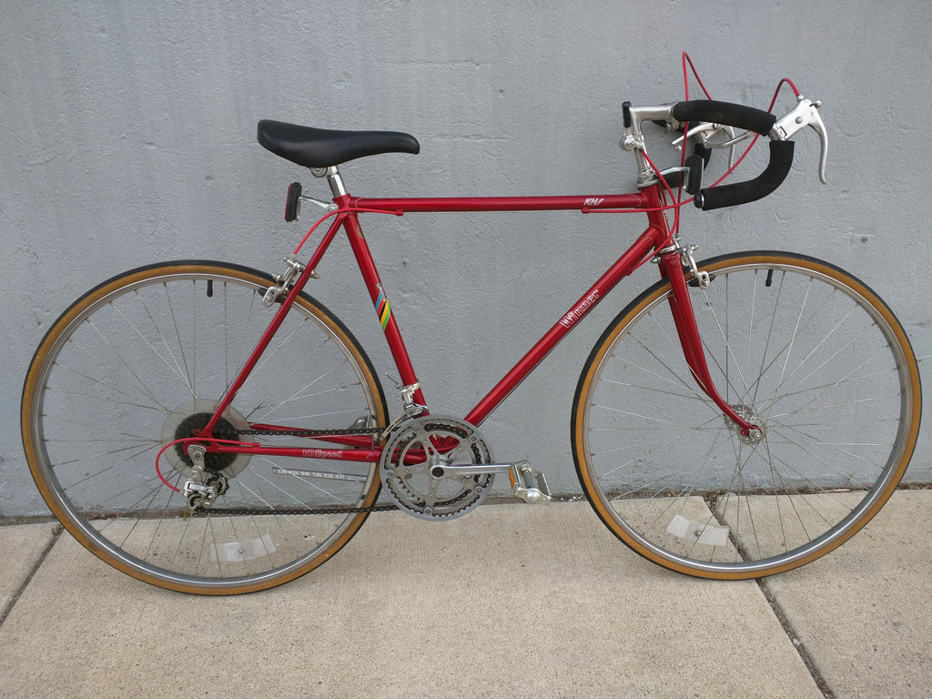 10 speed bike vintage