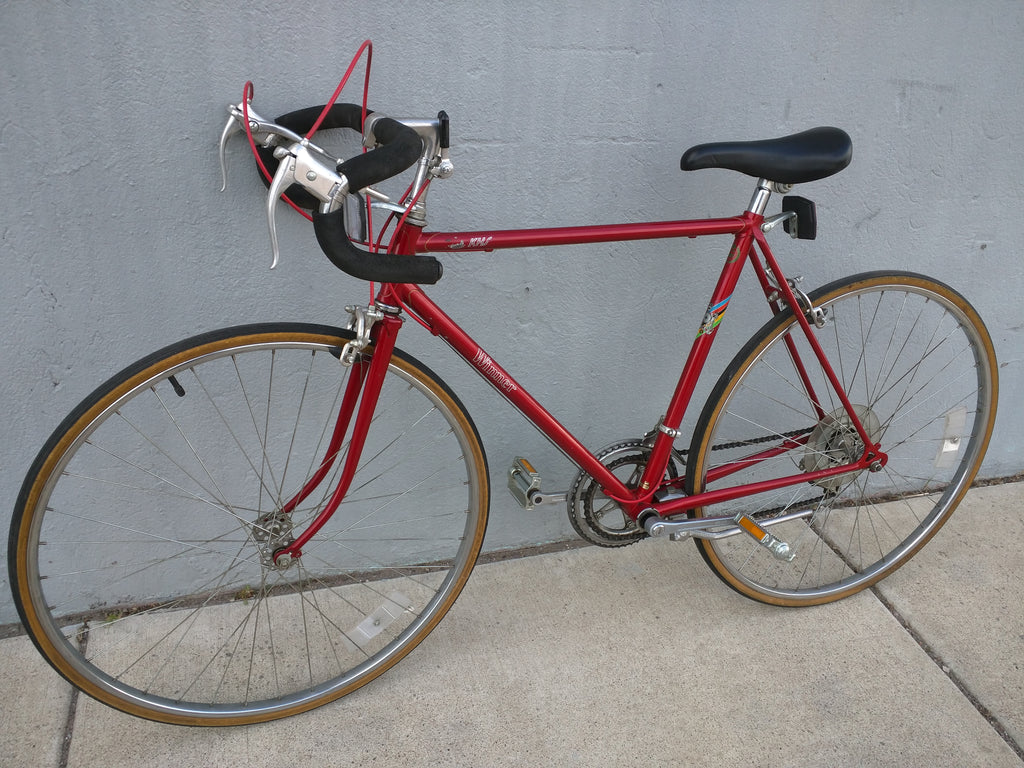 10 speed bike vintage