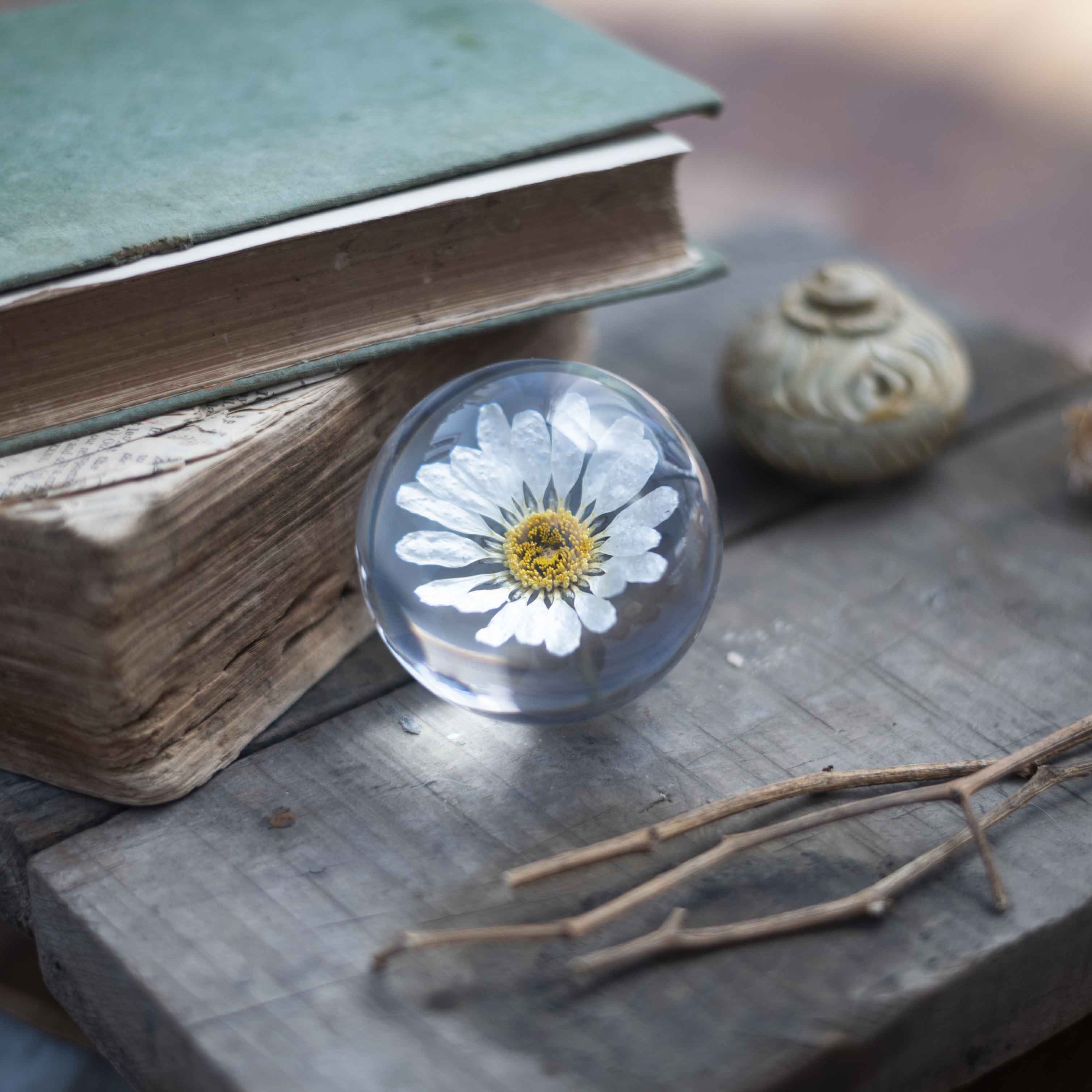 Freya's Daisy Paperweight