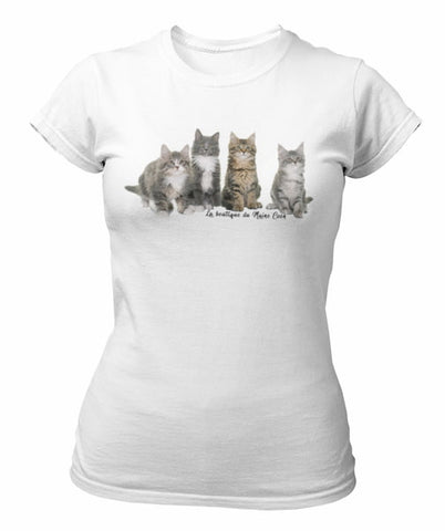 T-shirt chatons Maine Coon