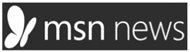 MSN News Logo