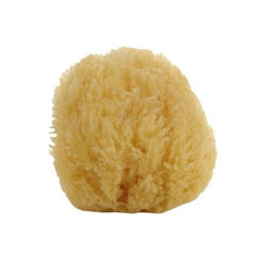 Natural Small Sea Sponge