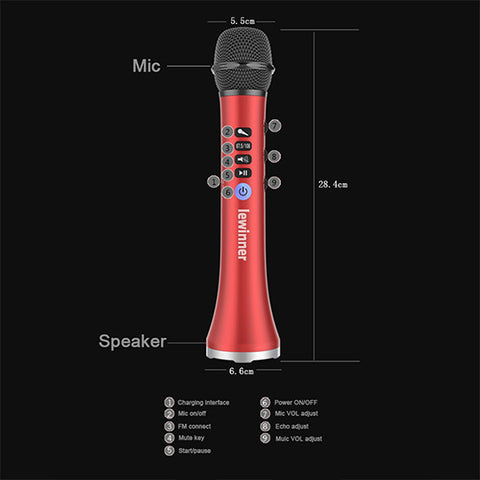 karaoke microphone speaker specifications