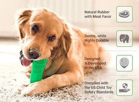 toothbrush toy for dogs