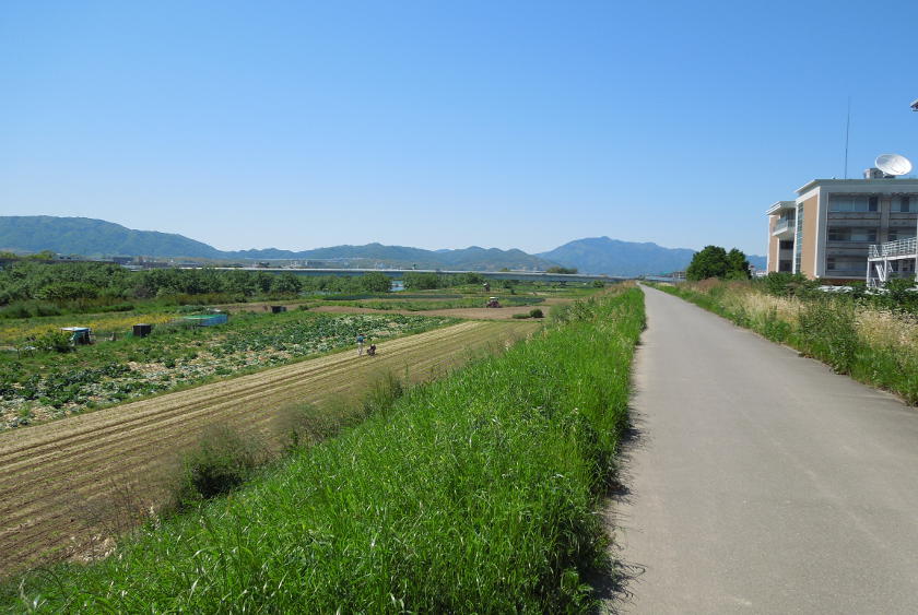 La superbe piste cyclable de la rivière Katsura sur la route cyclable Osaka-Kyoto.