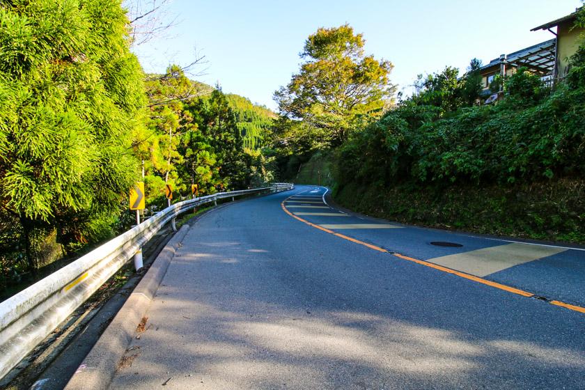 Perfect winding cycling roads along the 162 on our Kyoto cycling route.